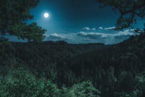 The Sun, Earth and the Moon
